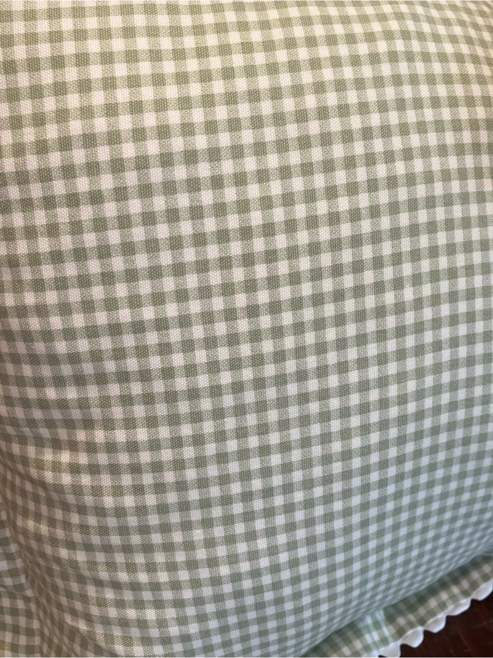 Waverly Garden Room Green Gingham Pillow Shams with White Ric Rac Edge